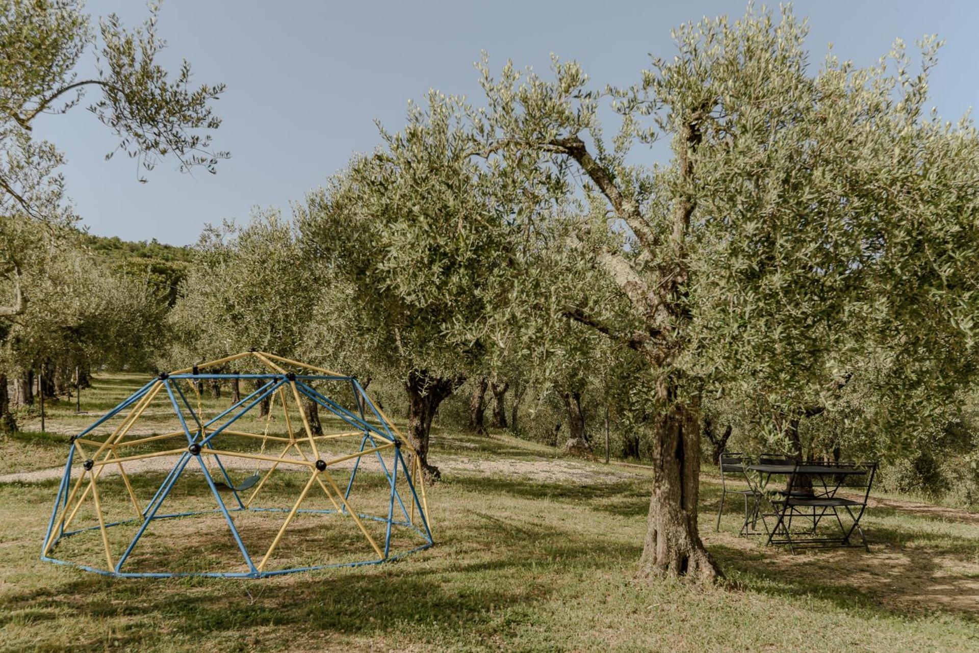 Agriturismo Il Mulino Delle Canutole Маджоне Экстерьер фото