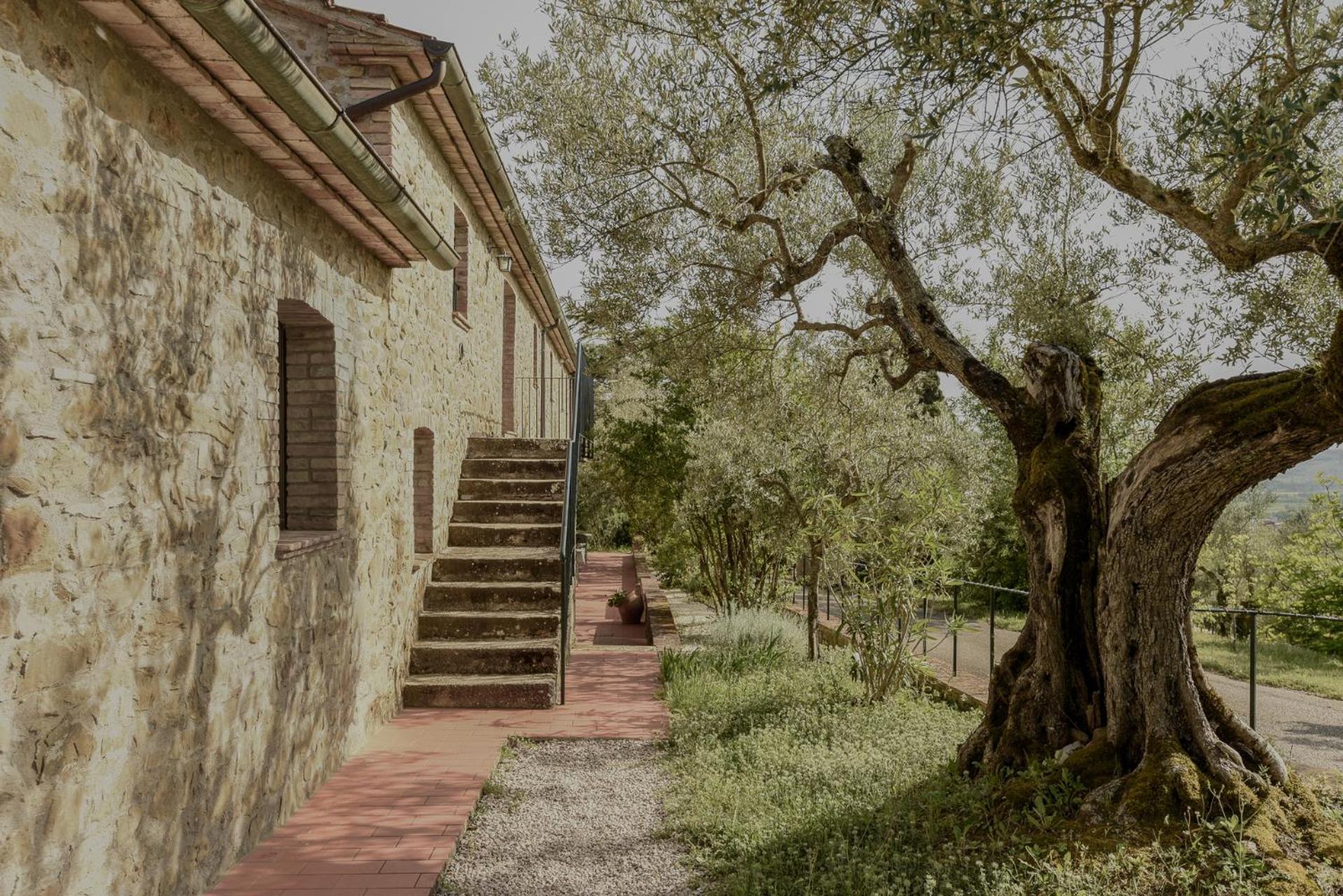 Agriturismo Il Mulino Delle Canutole Маджоне Экстерьер фото