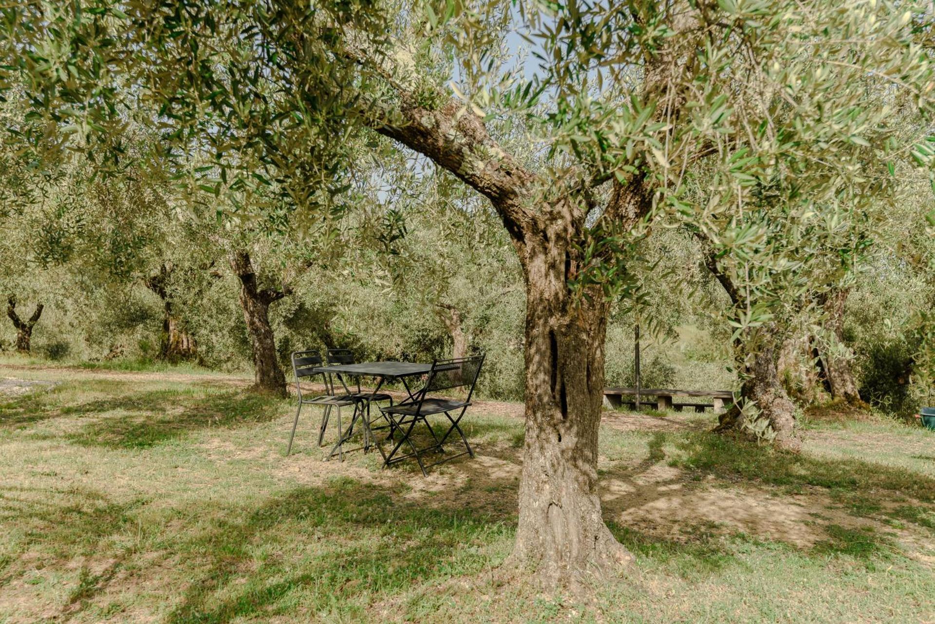 Agriturismo Il Mulino Delle Canutole Маджоне Экстерьер фото